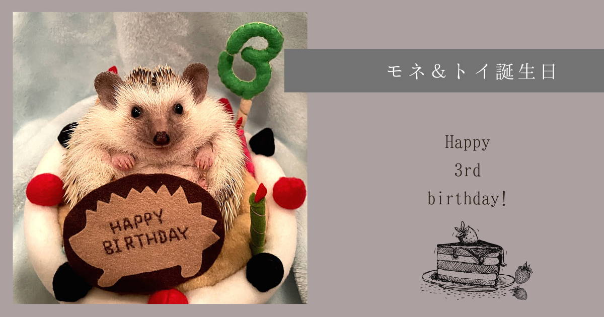 トイ＆モネ Happy 3rd birthday! | はりねずみと暮らす