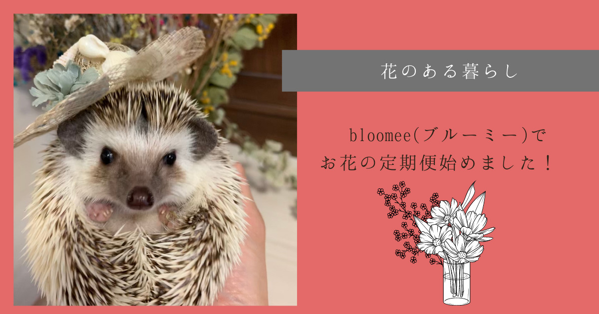 再販！訳あり！！ハリネズミ親子♡ （なでなでクルンっ！ ハリネズミ 