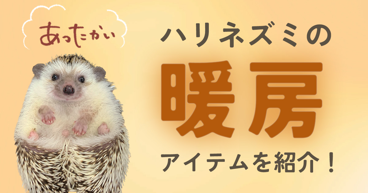 2026年最新版】ハリネズミの寒さ対策完全ガイド！おすすめヒーターと 